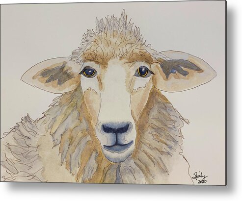 Sheep Metal Print featuring the painting Farm Sheep by Shirley Dutchkowski