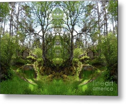 Scotland Metal Print featuring the photograph Fiodh Antlers by PJ Kirk