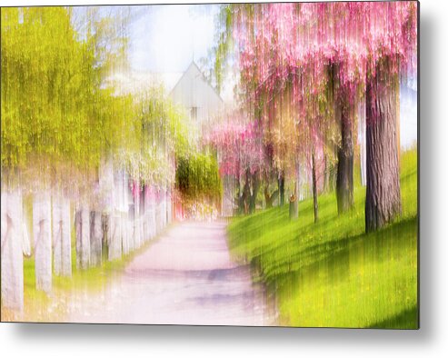 Floral Metal Print featuring the photograph Floral Way Impression by Catherine Grassello