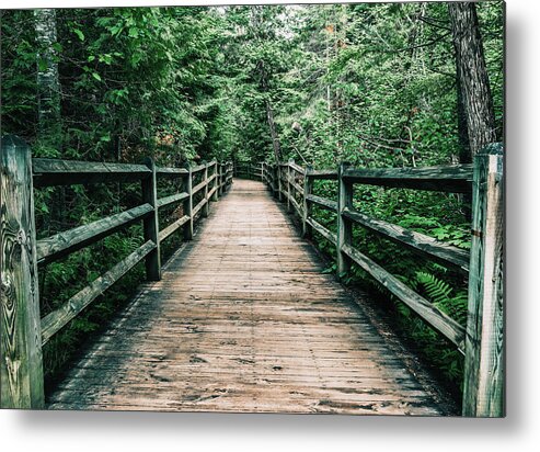 Forest Pathway Metal Print featuring the photograph Forest Pathway by Dan Sproul