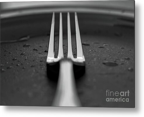 Fork Metal Print featuring the photograph Fork 2 by Douglas Stucky