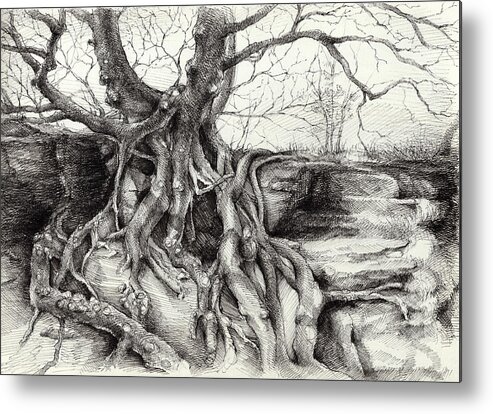 Drawing Metal Print featuring the drawing Graceful tree that grows on the sandstone by Adriana Mueller