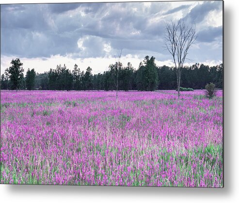 Easter Metal Print featuring the mixed media Grey and Pink by Moira Law