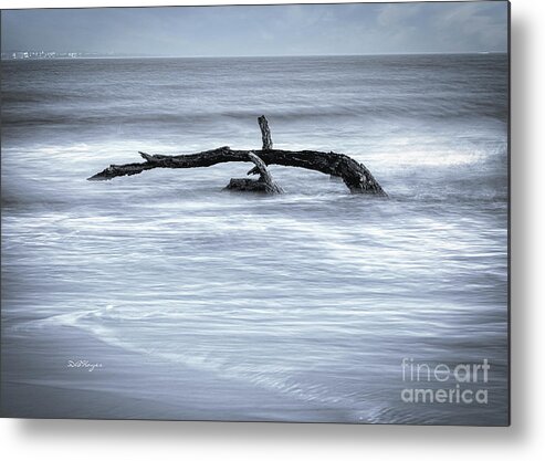 Nature Metal Print featuring the photograph Harmonious Driftwood II by DB Hayes