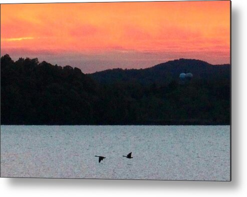 Hudson Valley Landscapes Metal Print featuring the photograph Hudson River Geese by Thomas McGuire