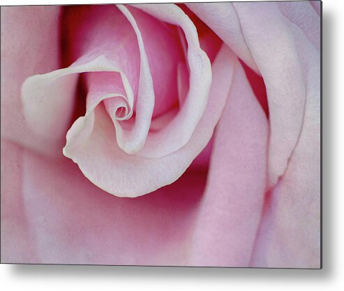 Rose Petals Metal Print featuring the photograph Hypnotized by Kathi Mirto