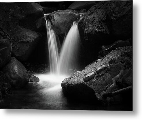 Color Metal Print featuring the photograph In Tight Monochrome by Laura Macky