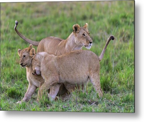 Africa Metal Print featuring the photograph Kids and Mom by Laura Hedien