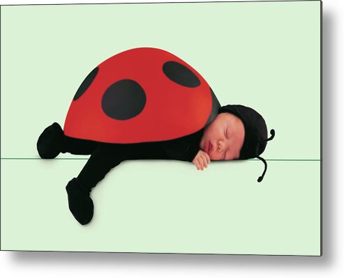 Ladybug Metal Print featuring the photograph Ladybug #1 by Anne Geddes