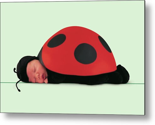 Ladybug Metal Print featuring the photograph Ladybug #4 by Anne Geddes