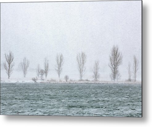 Snow Metal Print featuring the photograph Lake Effect by Darren White