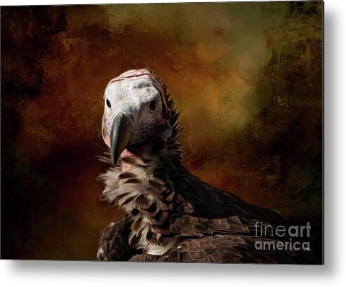 Lappet-faced Vulture Metal Print featuring the photograph Lappet-Faced Vulture-2 by Eva Lechner