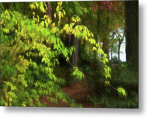 Leaves Metal Print featuring the photograph Leaves of Lemon and Lime in Autumn by Ola Allen