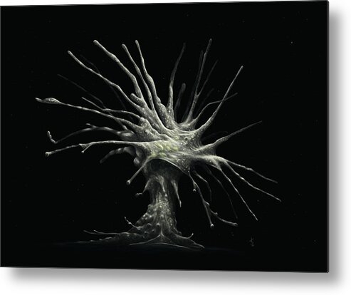 Protozoa Metal Print featuring the digital art Leptophrys Amoeba by Kate Solbakk