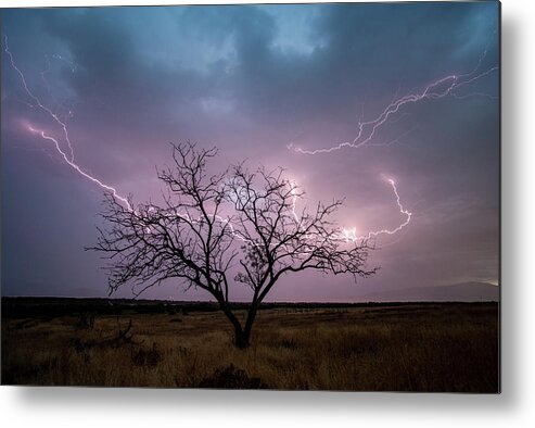 Storm Metal Print featuring the photograph Lightning Tree by Wesley Aston