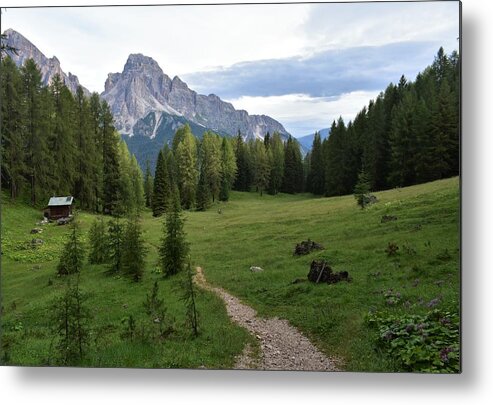 Dolomites Metal Print featuring the photograph Meadow in the dolomites by Luca Lautenschlaeger