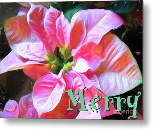 Christmas Metal Print featuring the photograph Merry Holiday Card by Amy Dundon