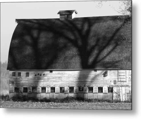 Bw Metal Print featuring the photograph Morning Shadows by I'ina Van Lawick