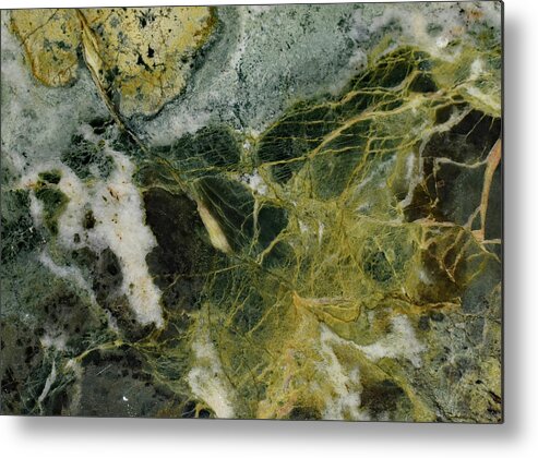 Art In A Rock Metal Print featuring the photograph Mr1005d by Art in a Rock