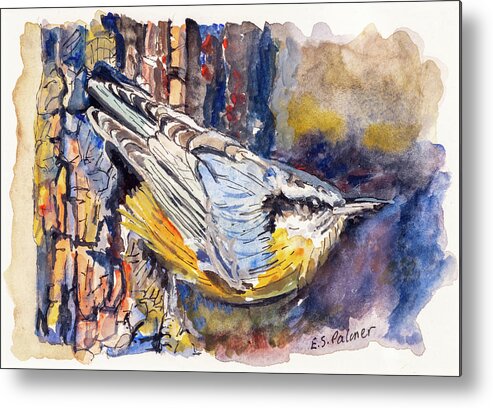 Bird Metal Print featuring the painting Nuthatch by Elizabeth Palmer