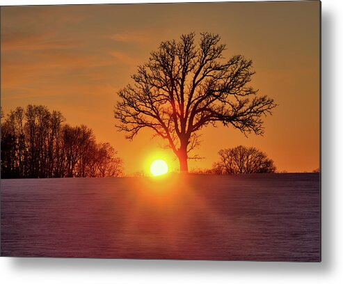 Oak Metal Print featuring the photograph OakSet - winter WI sunset behind a solitary oak tree by Peter Herman