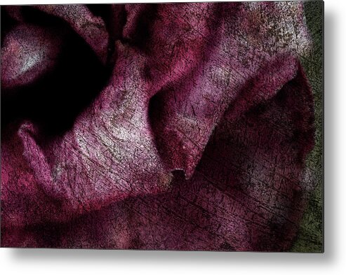 Red Rose Metal Print featuring the photograph Old flower by Al Fio Bonina