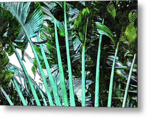 Palm Tree Metal Print featuring the mixed media Palm Tree Fronds by Pamela Williams