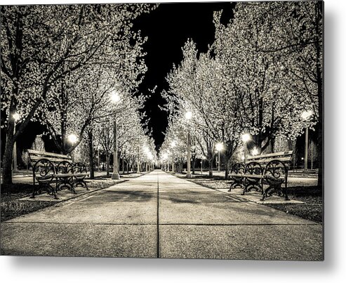 Forest Park Metal Print featuring the photograph Peaceful Spring by Randall Allen