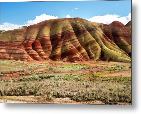 Photo Metal Print featuring the photograph Pendleton Colors by Greg Sigrist