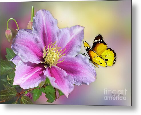 Yellow Butterfly Metal Print featuring the mixed media Pink Clematis and Butterfly by Morag Bates
