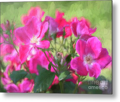 Rose Metal Print featuring the photograph Pink Roses Cezanne Style by Lorraine Cosgrove