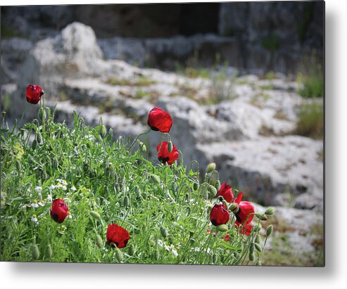Poppies Metal Print featuring the photograph Poppies and Ruins by M Kathleen Warren