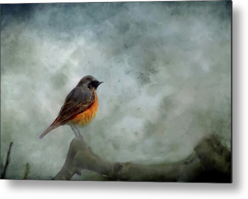 Red Bird Metal Print featuring the mixed media Red Breast Bird At Dawn Following the Storm by David Dehner