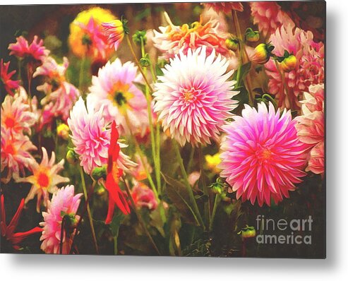 Dahlia Metal Print featuring the photograph Romantic Pink Dahlia Garden by Sea Change Vibes