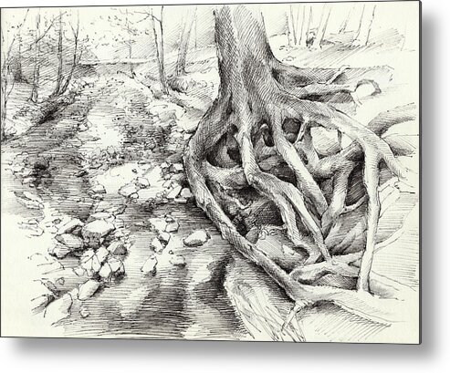 Root Metal Print featuring the drawing Roots and silent forest I. by Adriana Mueller