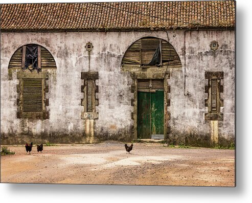 Rustic Metal Print featuring the photograph Rustic Building with Chickens by Denise Kopko