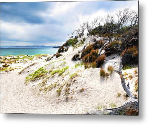 Beach Metal Print featuring the photograph Sand Dunes Series 2 by Lexa Harpell