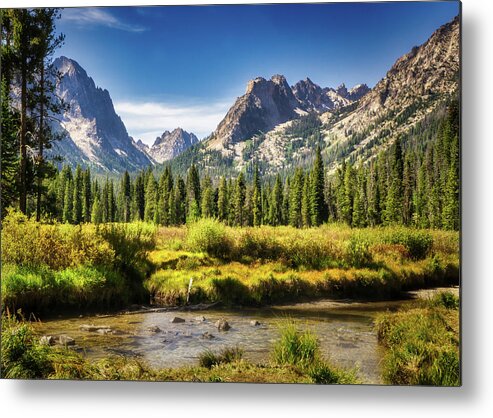 Mountain Metal Print featuring the photograph Sawtooth Mountain Meadow by Dan Eskelson