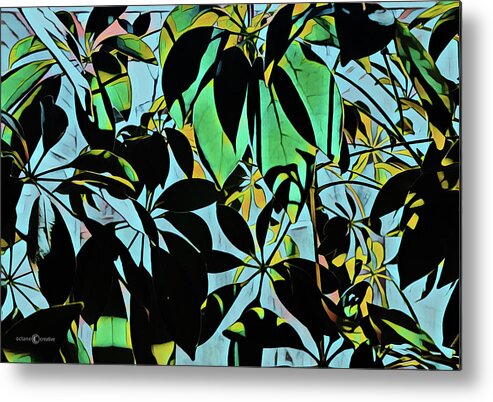 Plant Metal Print featuring the photograph Schefflera by Tim Nyberg