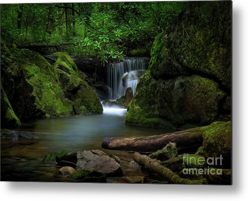 Waterfall Metal Print featuring the photograph Secluded Waterfall by Shelia Hunt