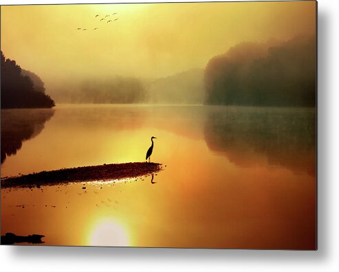 Blue Heron Metal Print featuring the photograph Serenity Found by Rob Blair