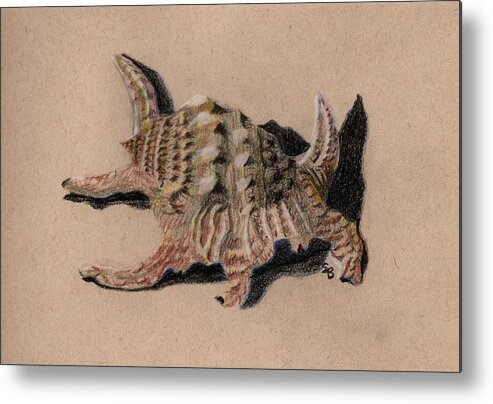Shell Metal Print featuring the drawing Shell Study 3e by Susan Bruner