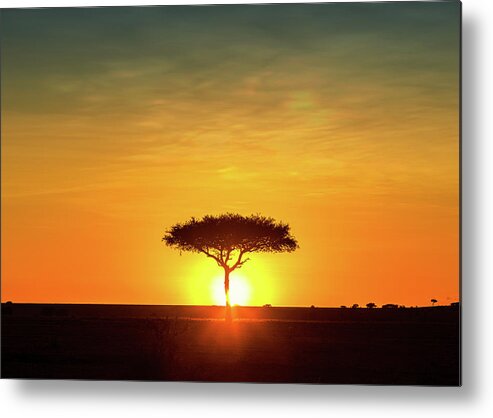Sunset Metal Print featuring the photograph Silhouette African Sun Behind Tree by Good Focused