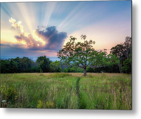 Sunset Metal Print featuring the photograph Skyline Rays by C Renee Martin