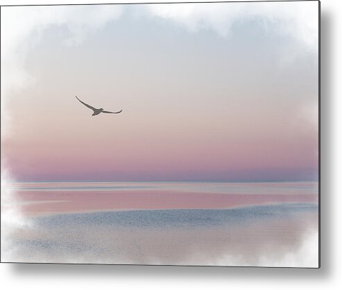 Sea Metal Print featuring the mixed media Soaring Over Cow Head Bay by Moira Law