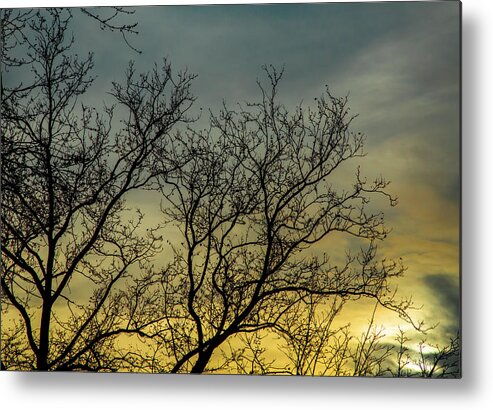 Winter Metal Print featuring the photograph Solstice Sunset by Cate Franklyn