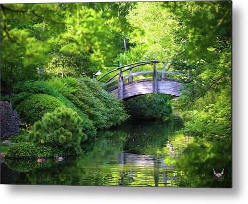 Spring Metal Print featuring the photograph Spring Greens by Pam Rendall