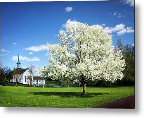 Spring In The Country Metal Print featuring the photograph Spring in the Country by Carolyn Derstine