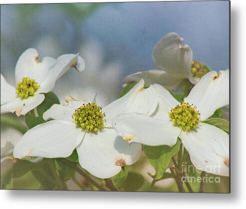 Dogwood Metal Print featuring the digital art Spring Textures by Amy Dundon