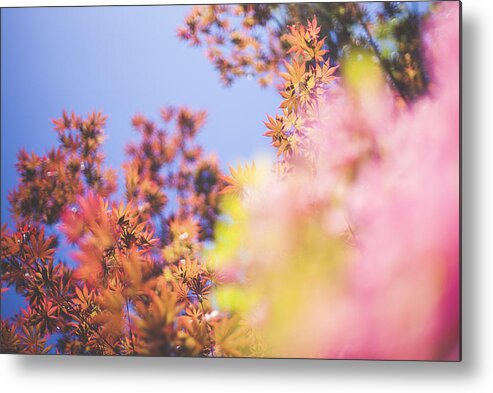 Sky Metal Print featuring the photograph Spring time by Capelle.r